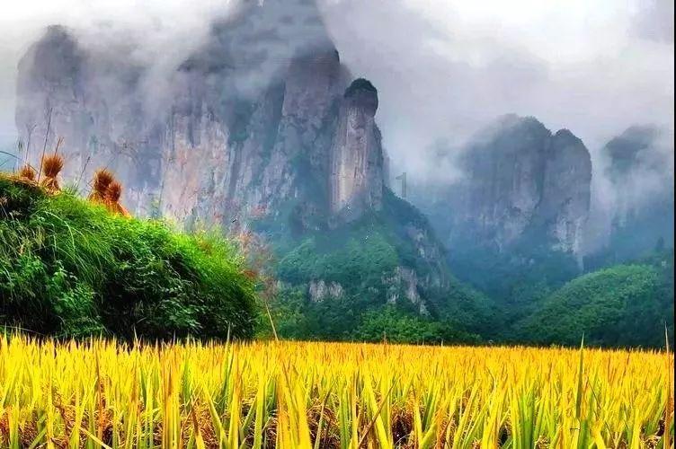 178+102除括号53-36括住的简便算法怎么算?-权威问答平台,解答您的疑惑